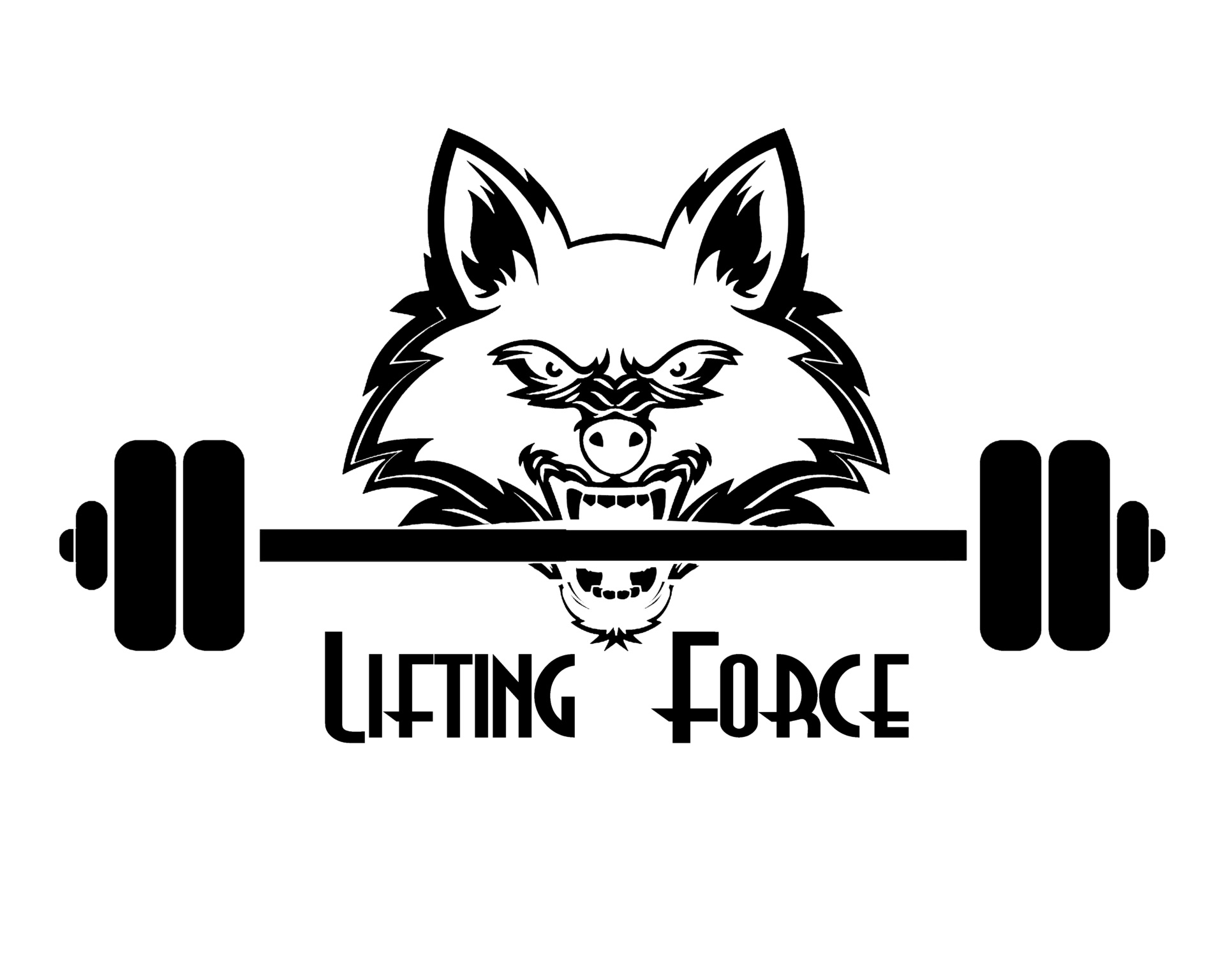 الصفحة الرئيسية 15 LIFTING FORCE :